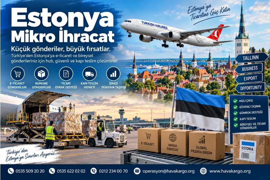 Estonya Mikro İhracat