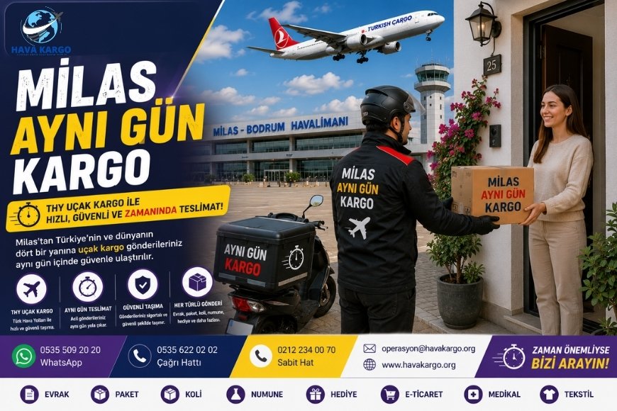 Milas Aynı Gün Kargo
