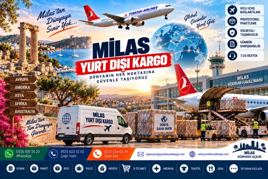 Milas Yurt Dışı Kargo